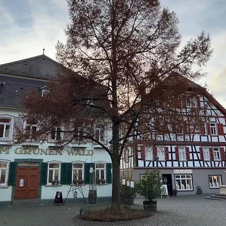 Skyline Mit Pool And Netflix * Kronberg im Taunus